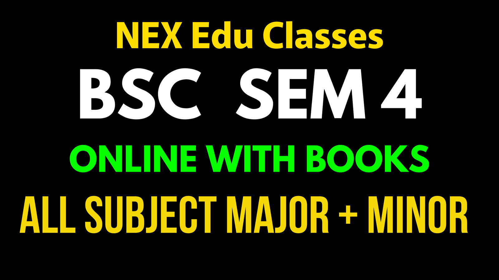 Sem 4 BSc Eco H.